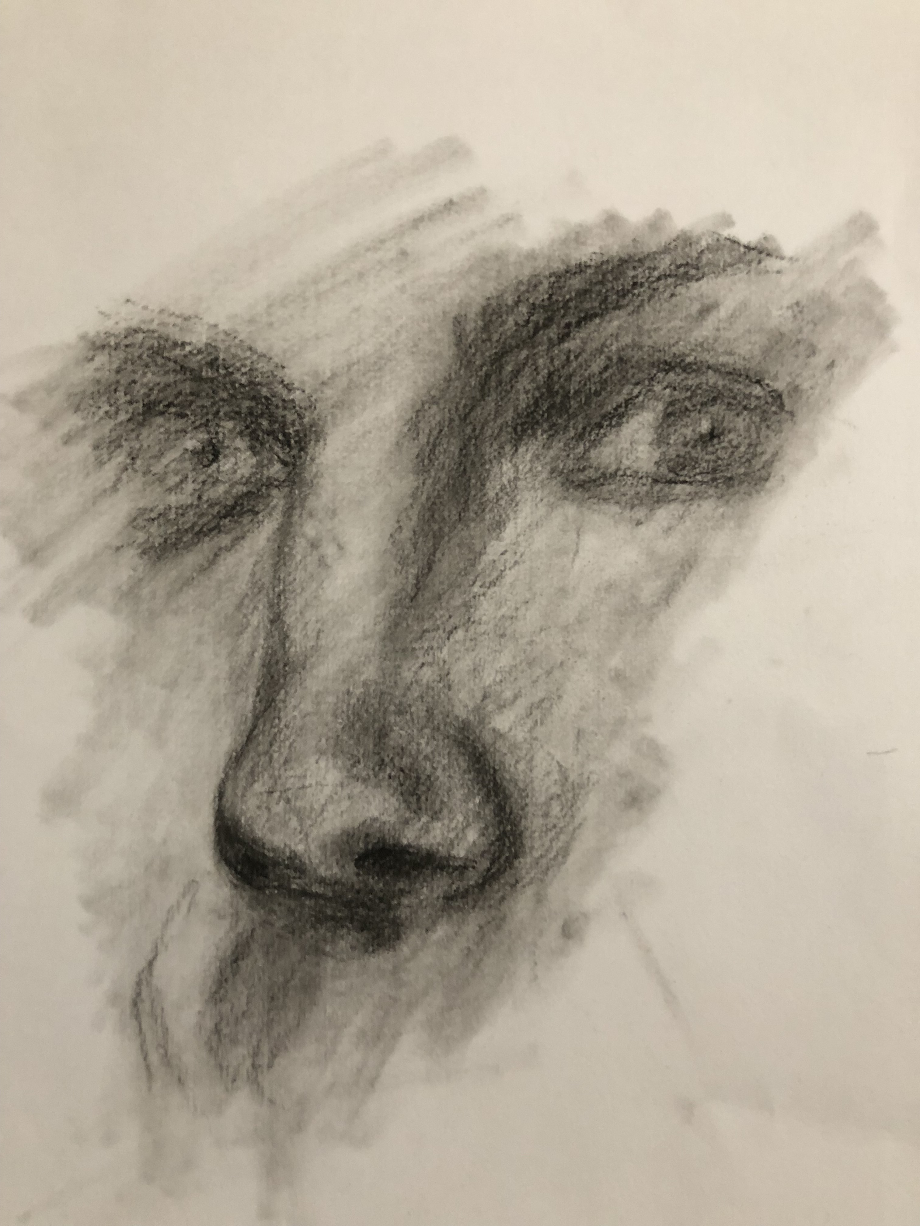 Face Study
